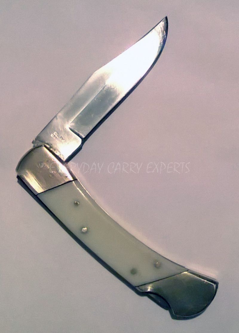 blackpaw knife